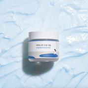ROUND LAB| Birch juice moisturizing cream| round lab moisturiser| vegan cream| Birch juice|Hyaluronic|