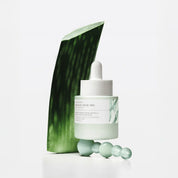 SKIN1004 Madagascar Centella Azelaic Acid 10 Ampoule with aloe vera leaf on a white background